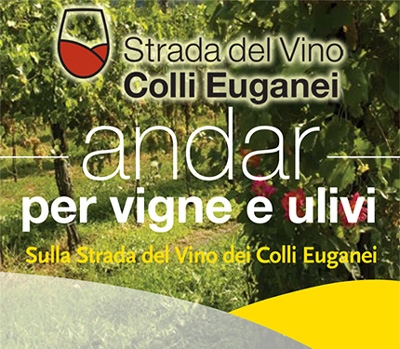 Andar per Vigne e Ulivi sulla Strada del Vino 2015